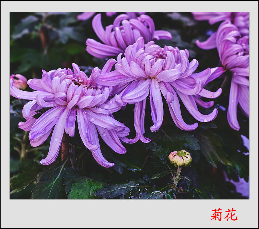 2013��9��27�վջ���Ƭ 3.jpg