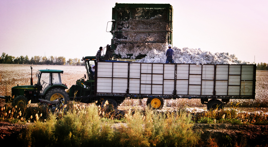 �޻� d1����.jpg