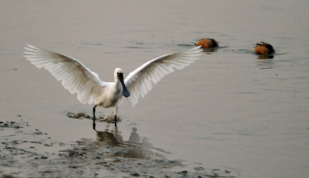 DSC_9120.jpg