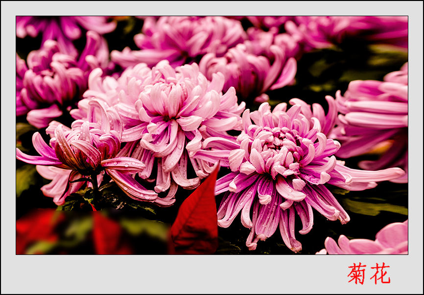 2013��9��30�վջ� ��10044.jpg