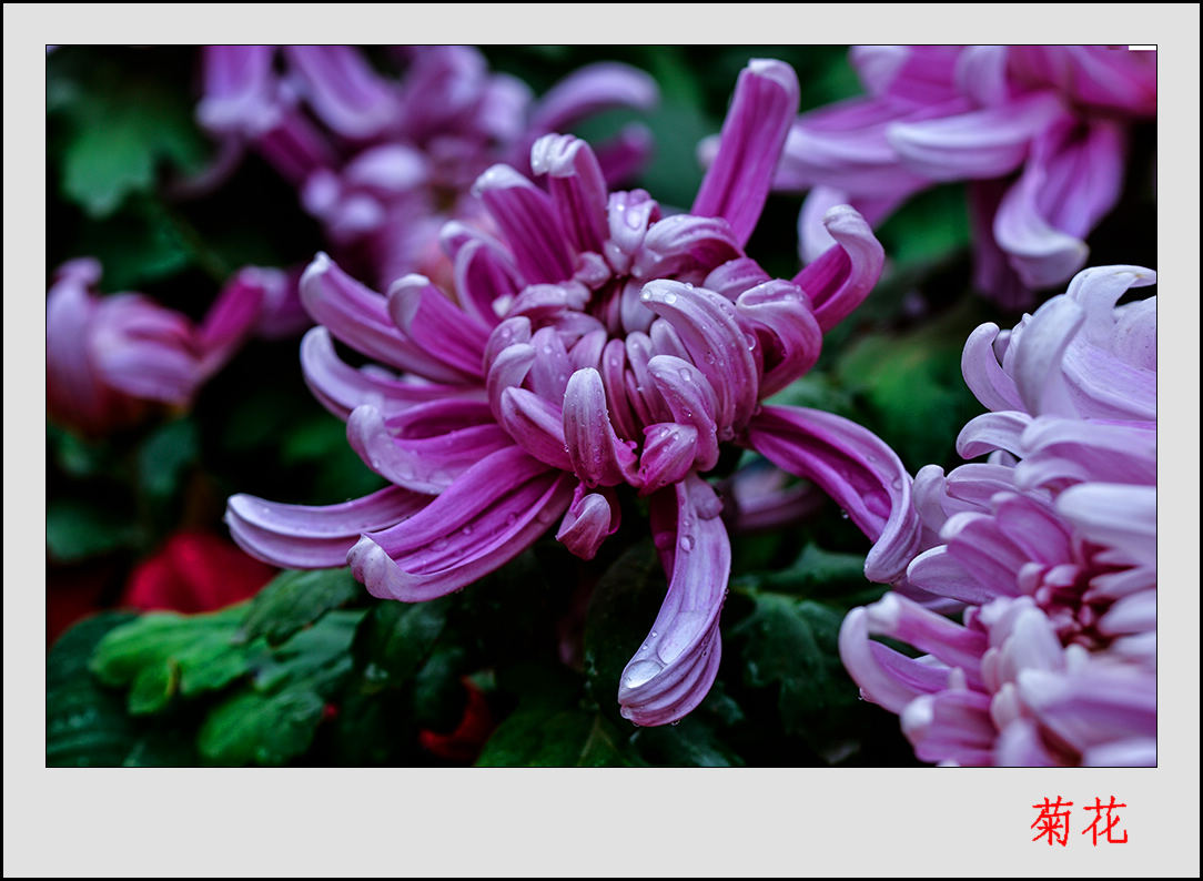 2013��9��30�վջ� 3��10099.jpg