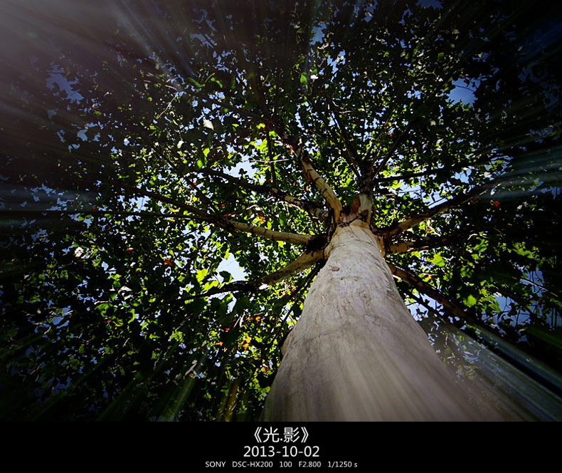 DSC02803_���� ����.jpg