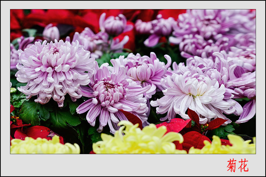 2013��9��30�վջ�5�� 10144.jpg