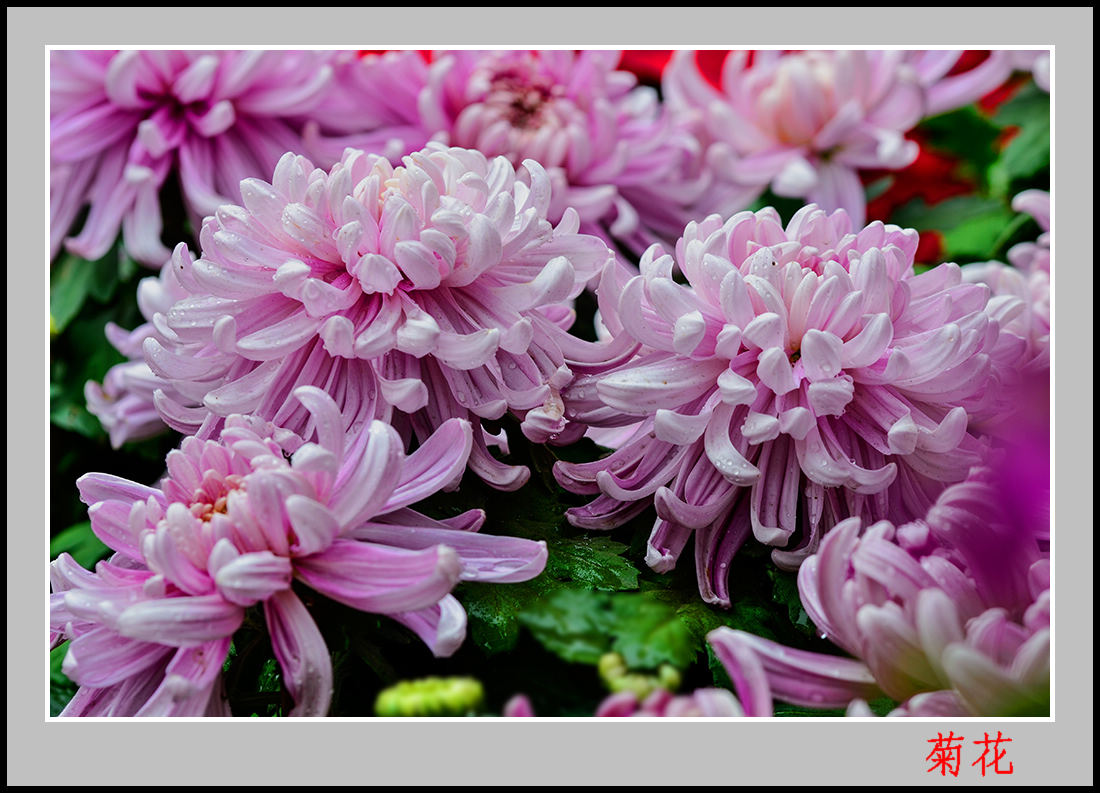 2013��9��30�վջ� 6��10166.jpg