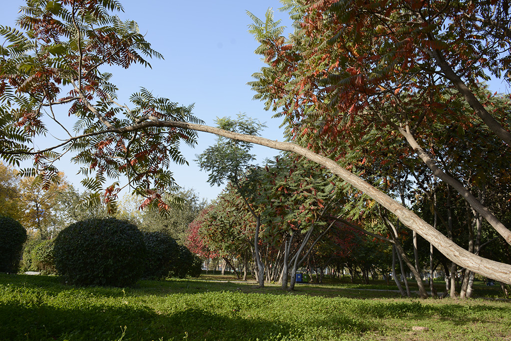 ʯ����ɫ 035ab.jpg