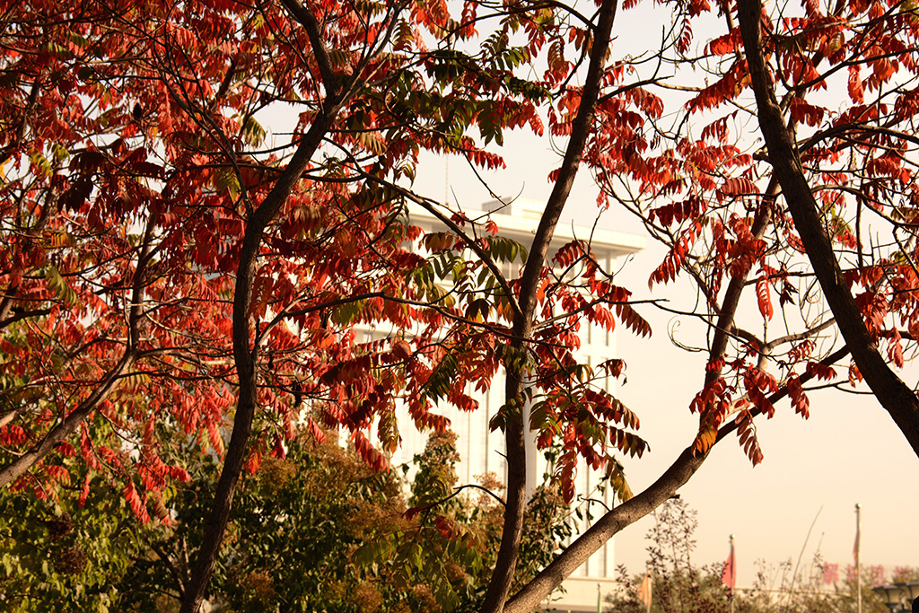 ʯ����ɫ 025ab.jpg