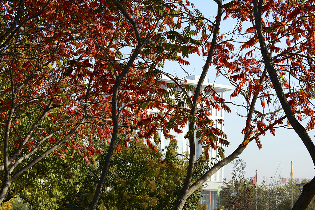 ʯ����ɫ 026ab.jpg