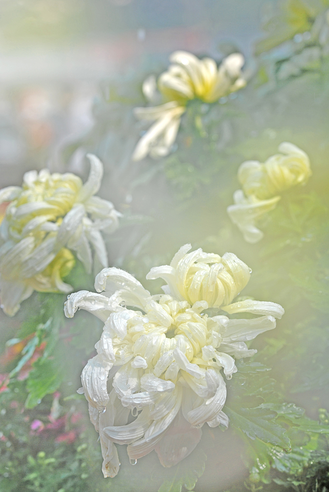 DSC_0838 ����.jpg