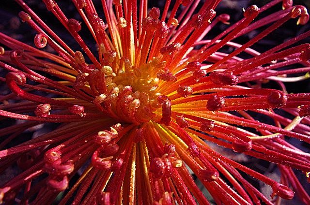 �ջ�ŭ�� ���涷��