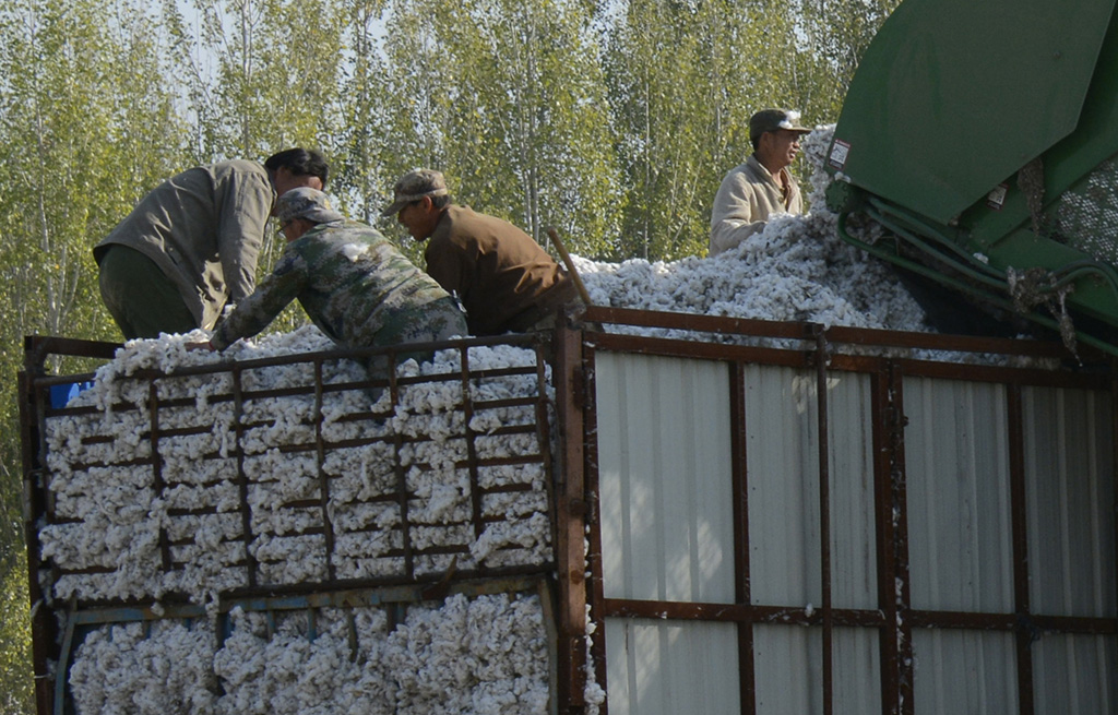 ���� 038a.jpg