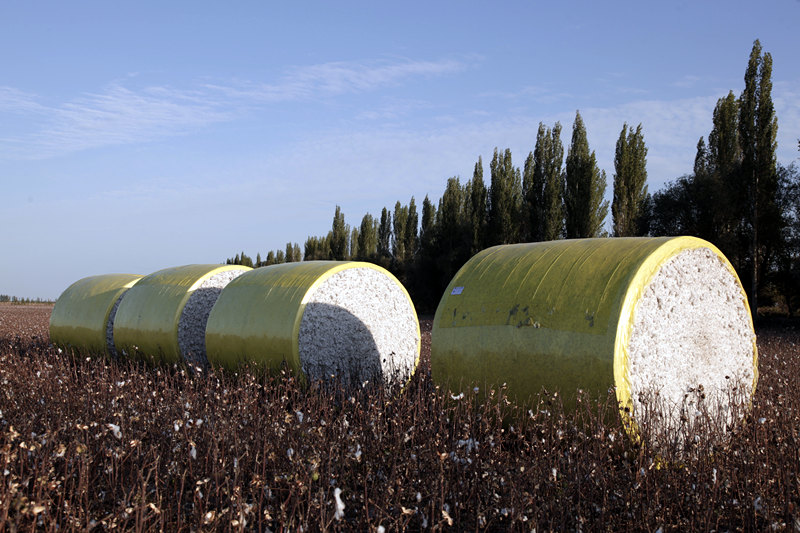 ���չ�ʵ 2.jpg