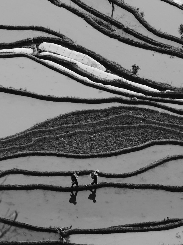 �������