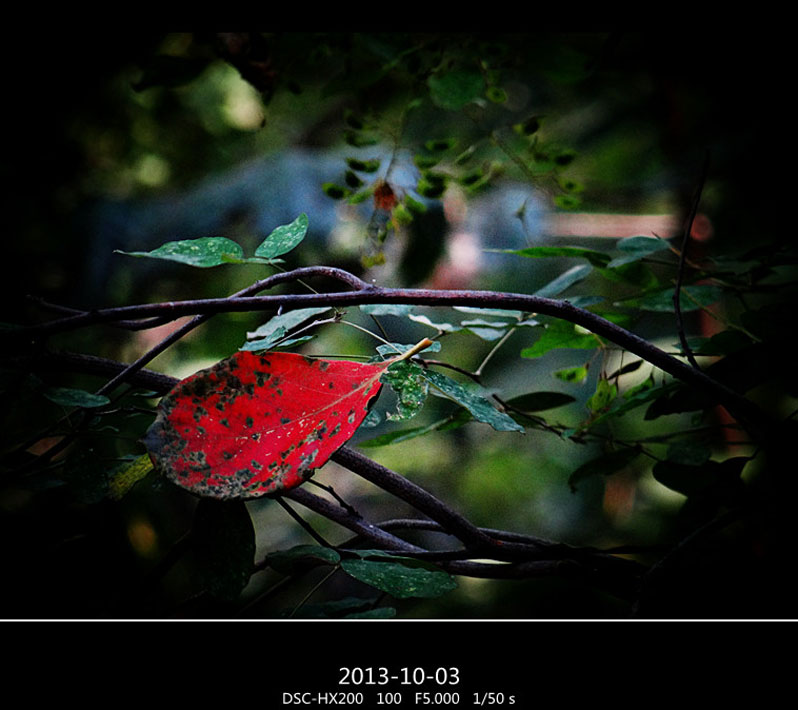 DSC02942_���� ����.jpg