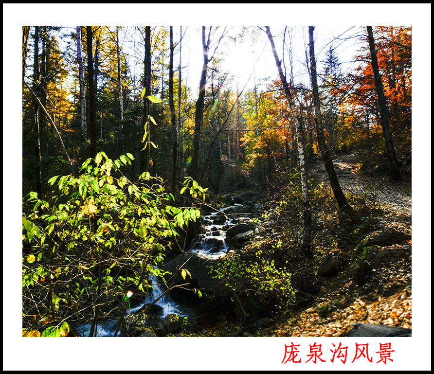 2013��10��5����Ȫ����Ƭ�� 0044.jpg