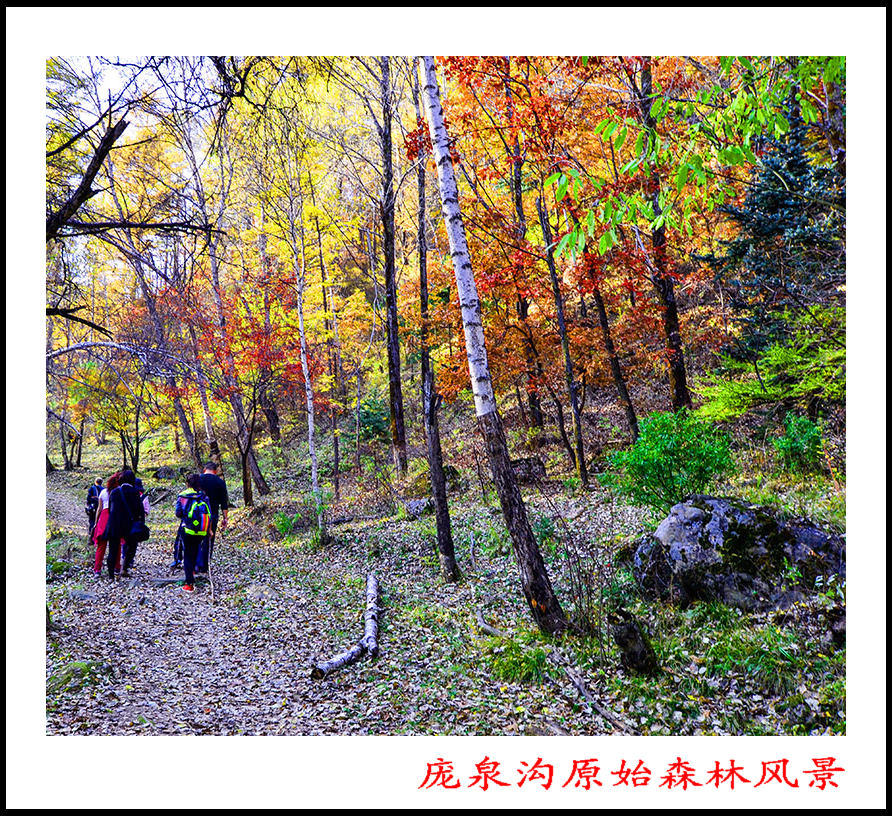 2013��10��5����Ȫ����Ƭ 0122.jpg