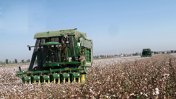 ʯ��ũ��������