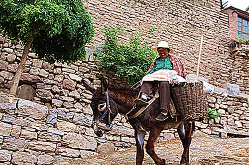 �������