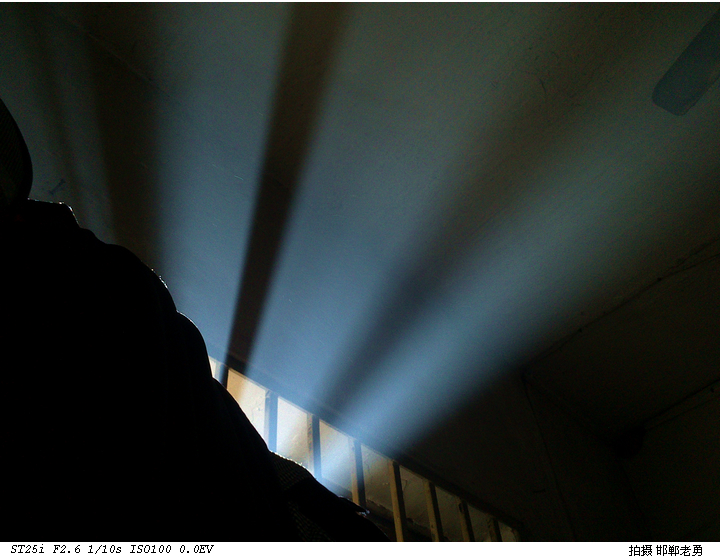 ӡ������