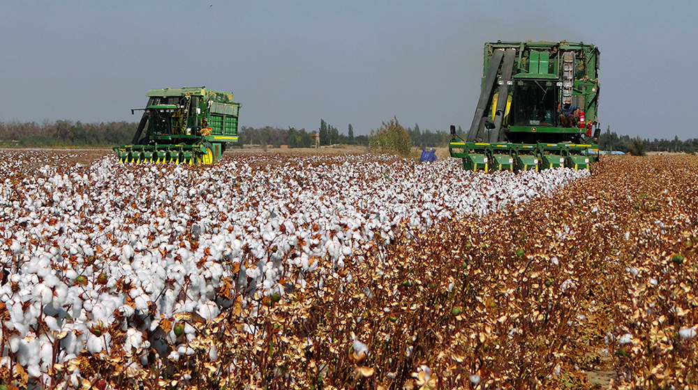 ������ȡ����      ʰ������   (7).jpg