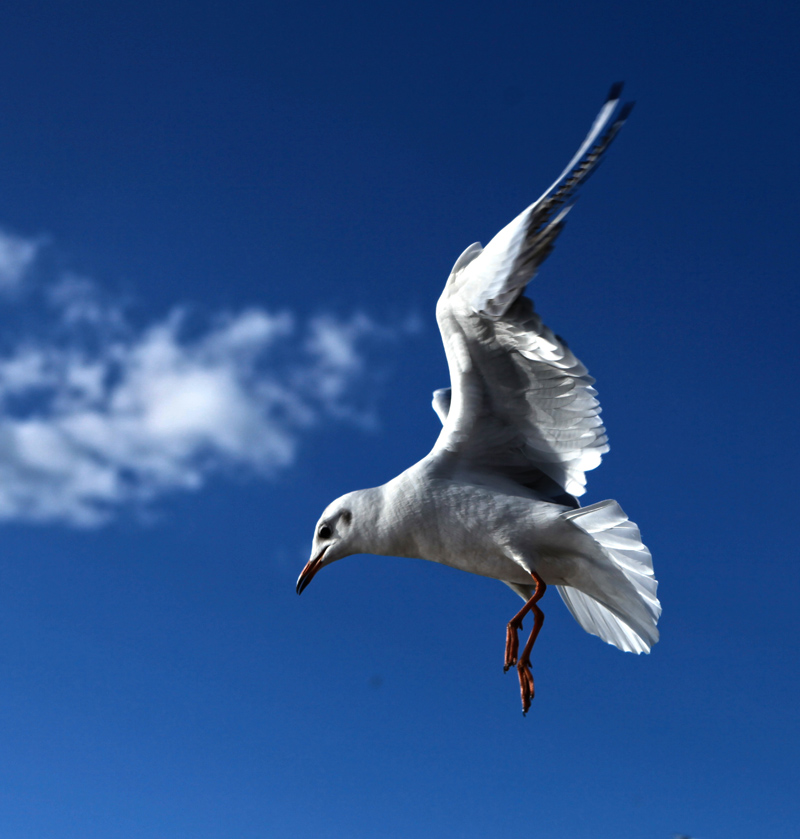 ���ϵ��700 (44)...jpg