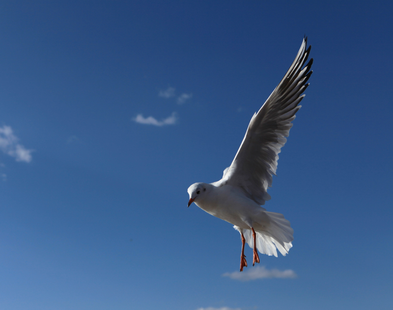 ���ϵ��700 (59)...jpg