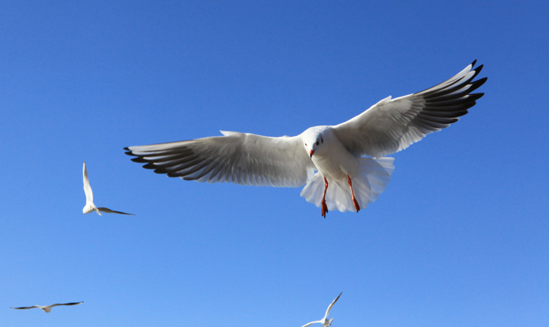 ���ϵ��700 (87)...jpg