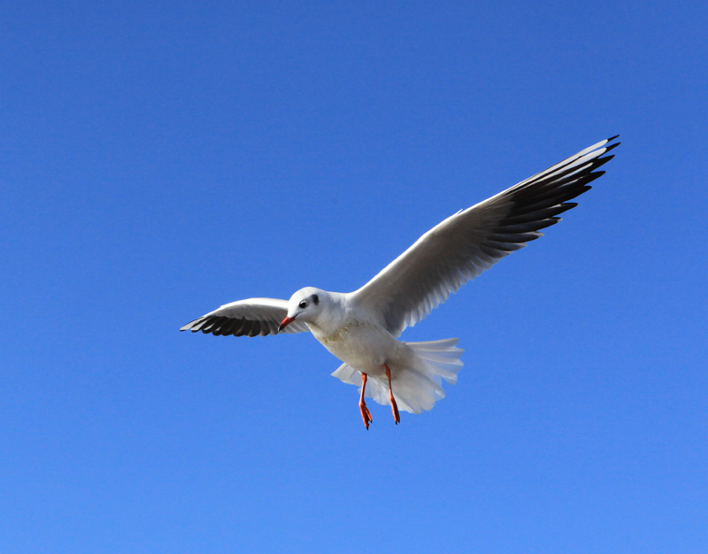 ���ϵ��700 (101)...jpg