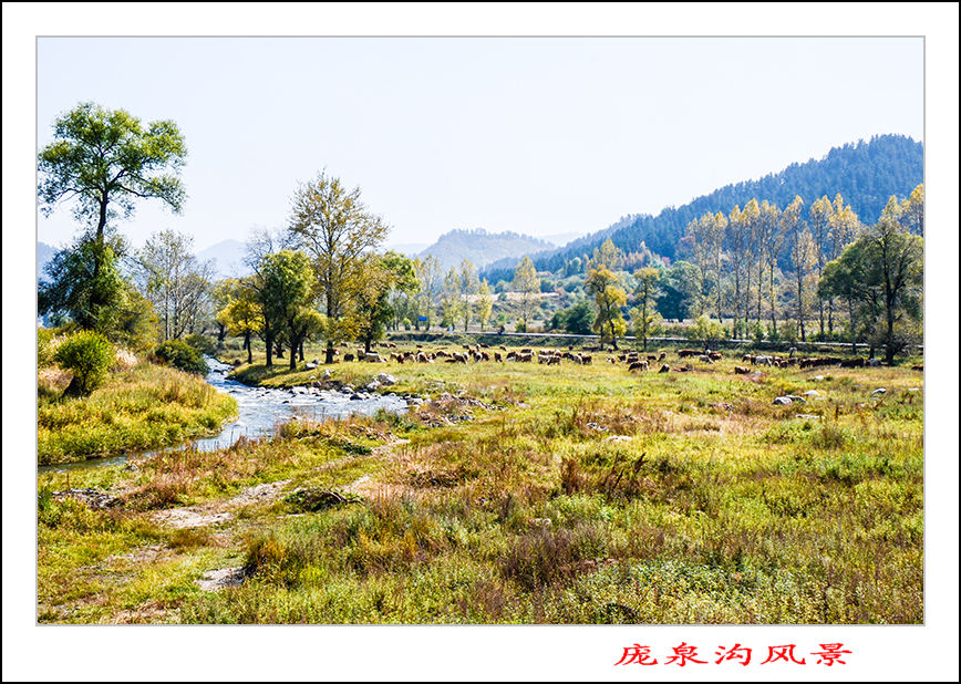 2013��10��5����Ȫ����Ƭ 11588.jpg