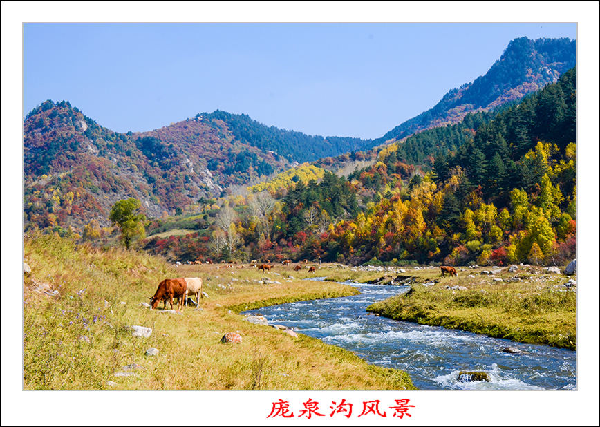 2013��10��5����Ȫ����Ƭ 11700.jpg