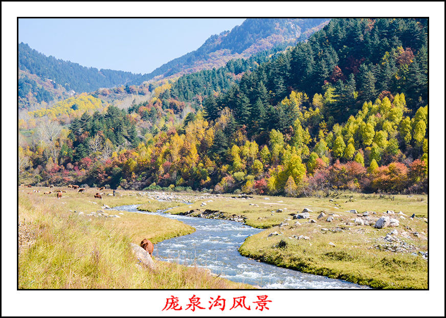 2013��10��5����Ȫ����Ƭ 11733.jpg