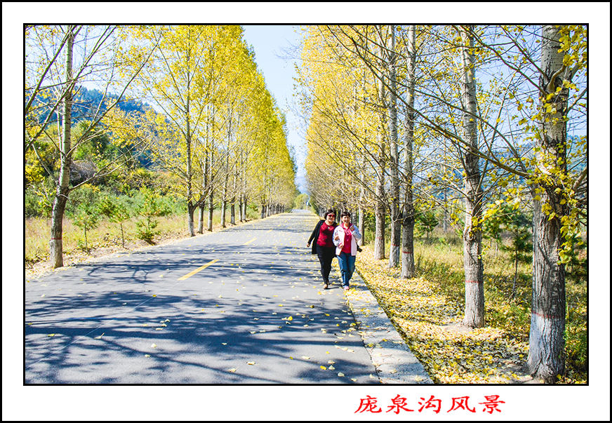 2013��10��5����Ȫ����Ƭ 1222.jpg