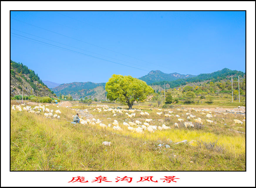 2013��10��5����Ȫ����Ƭ 1277.jpg