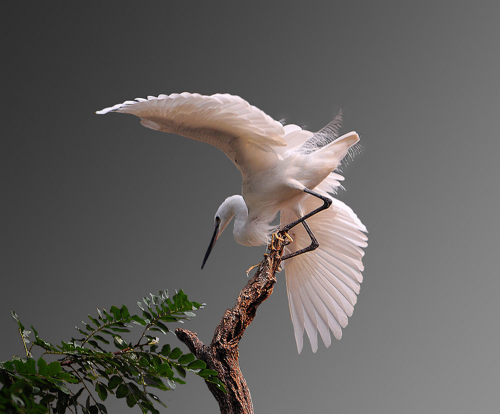 ���� 222s.jpg