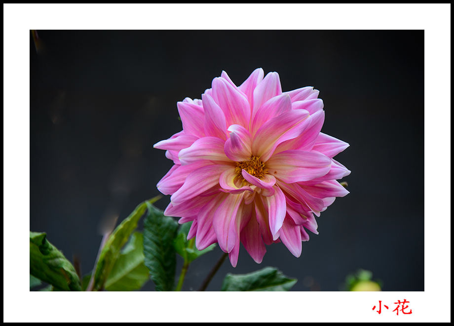 2013��10��5����Ȫ����Ƭ 13955.jpg