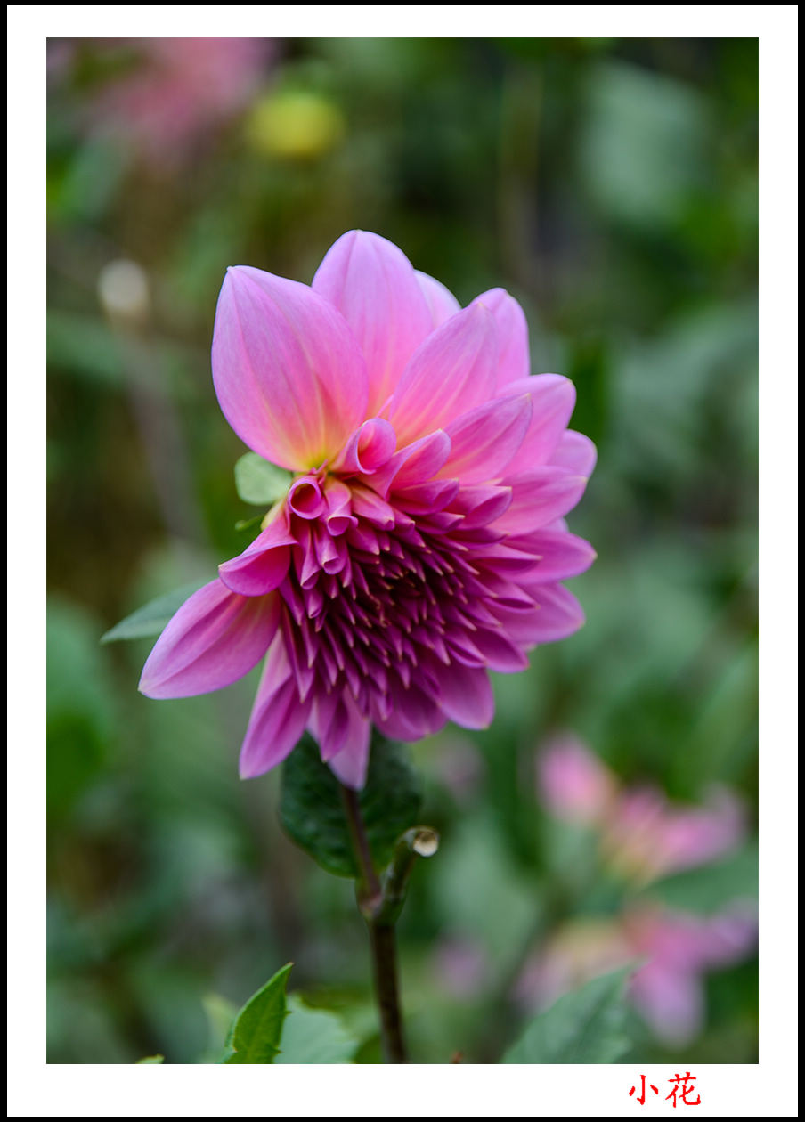 2013��10��5����Ȫ����Ƭ 3944.jpg