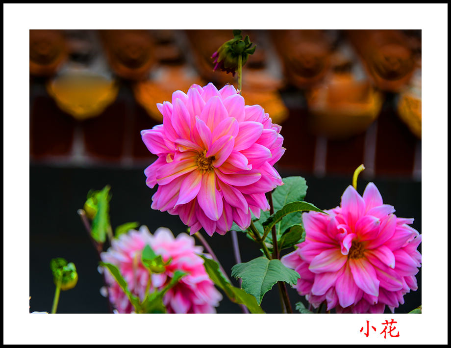 2013��10��5����Ȫ����Ƭ 3977.jpg