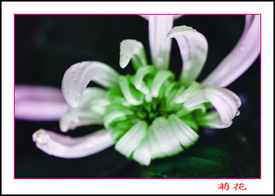 2013��10��13�վջ���Ƭ 10011.jpg