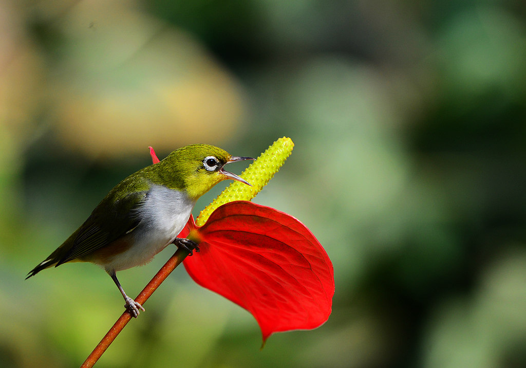 DSC_8404  1.jpg