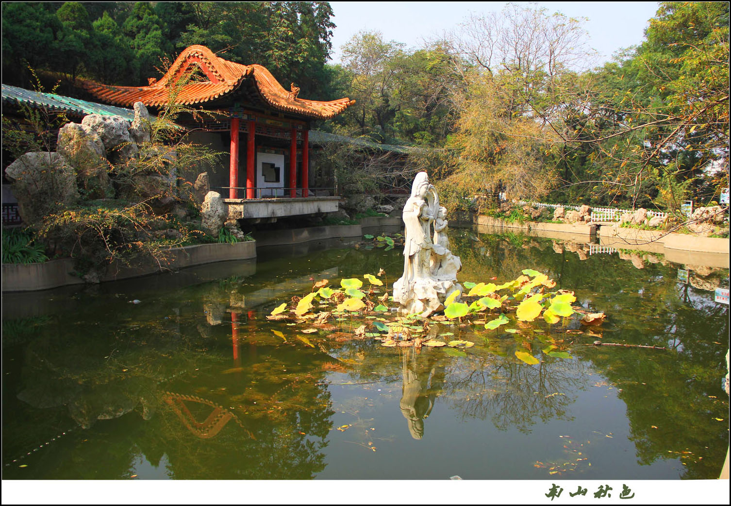 IMG_6431 ����.jpg