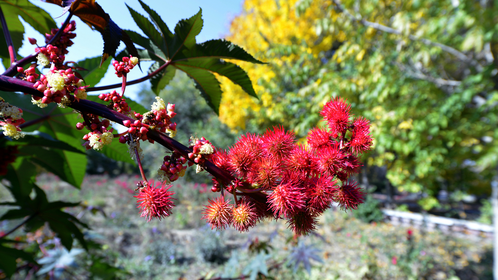 ����  ��·�ֳ���Ӱ (1).jpg