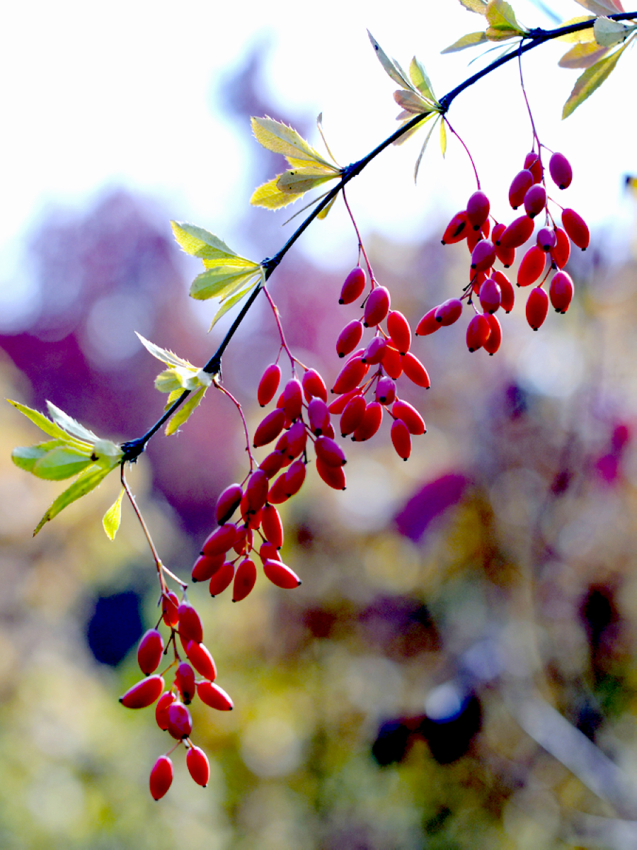 ����  ��·�ֳ���Ӱ (6).jpg