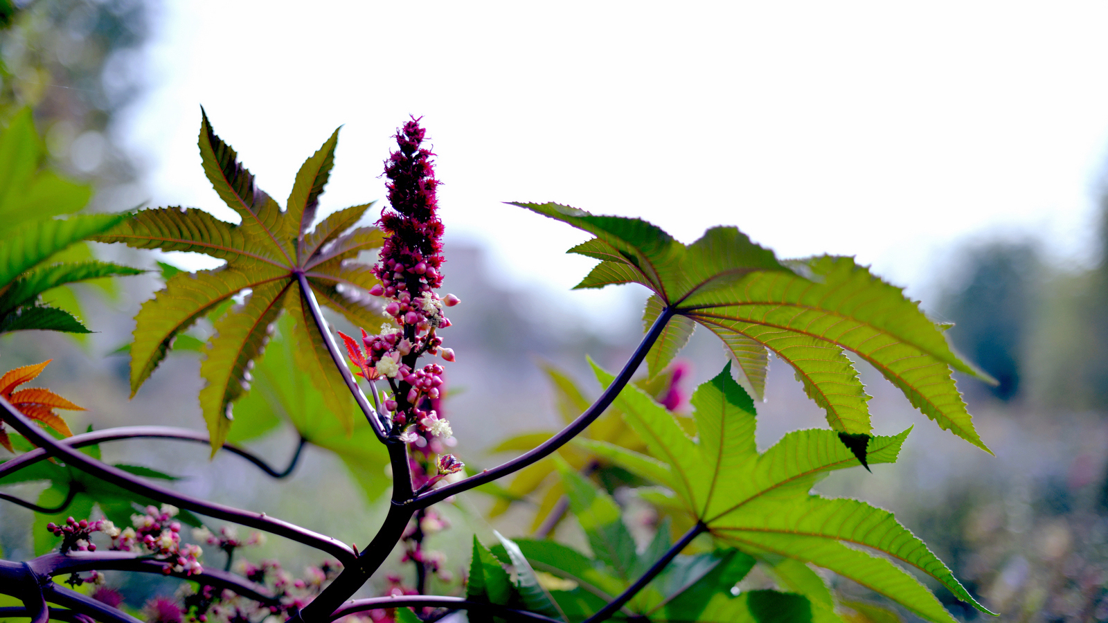 ����  ��·�ֳ���Ӱ (43).jpg