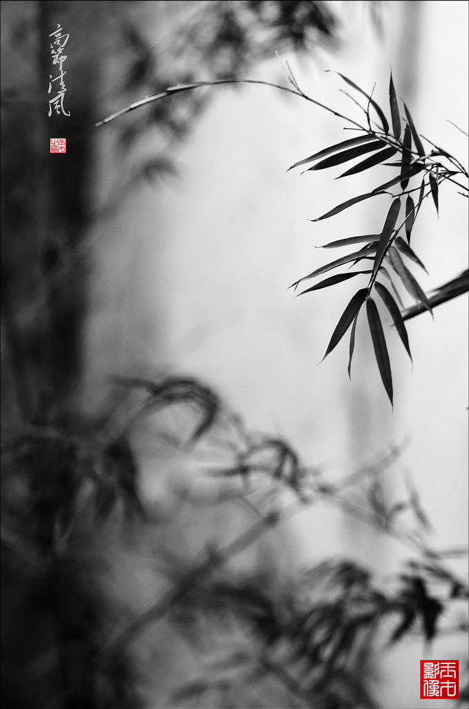 ߽磨31024.jpg
