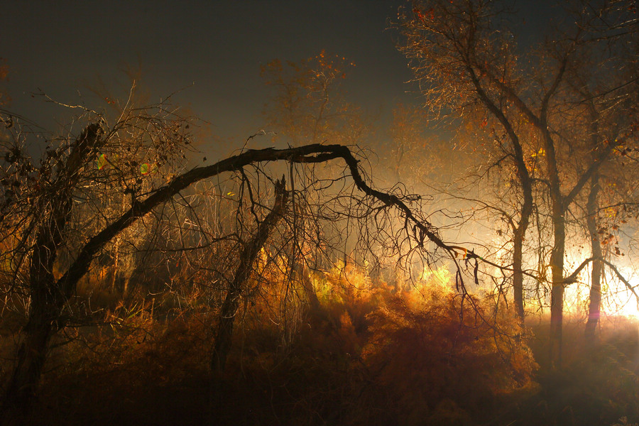 16.���λú������ɽ�ӣ������� ���㽱 .jpg