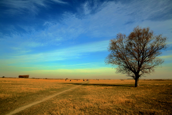 Ī������ɫ