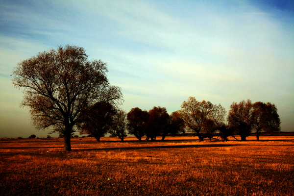 Ī��������ɫ