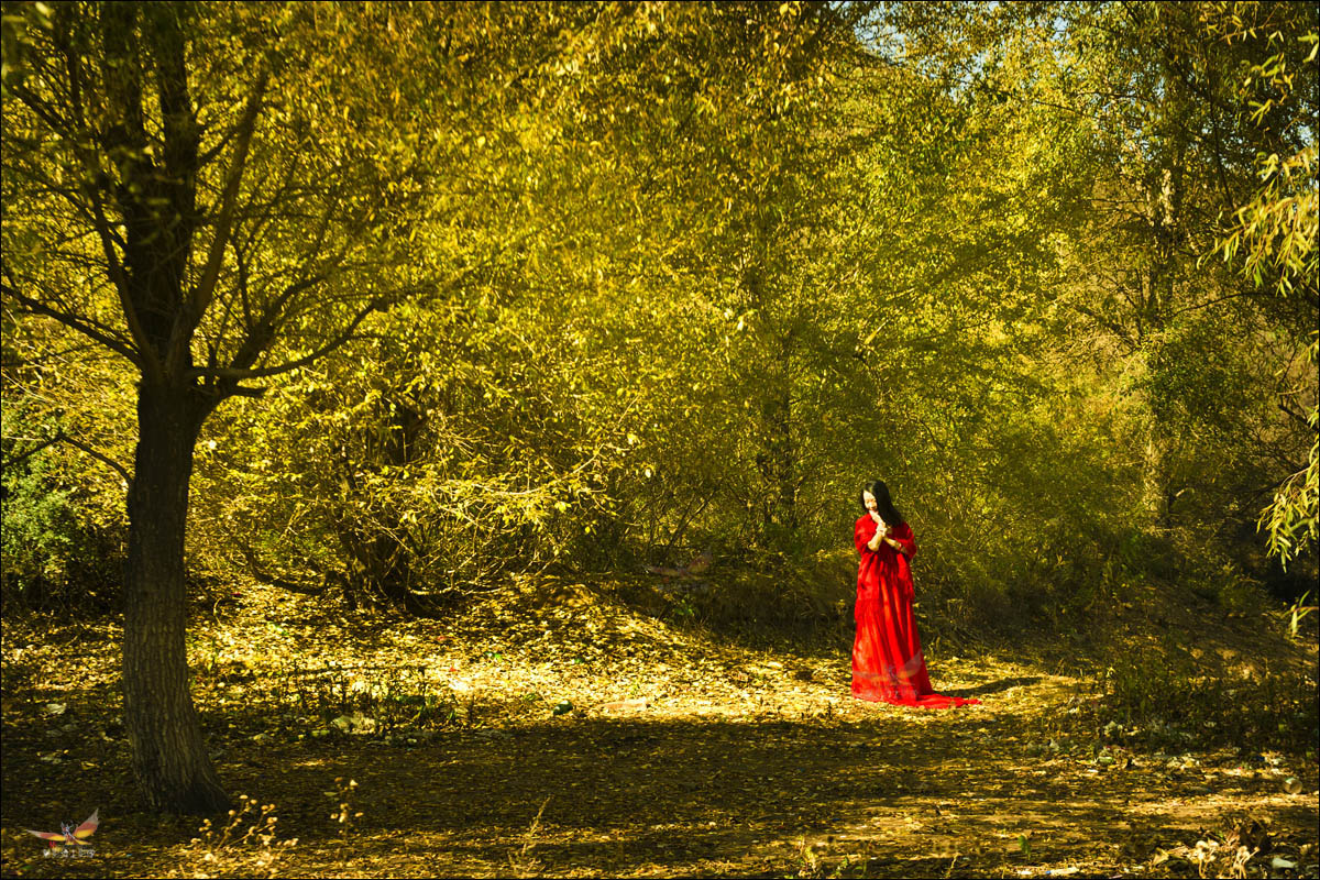 ����������ˮ��