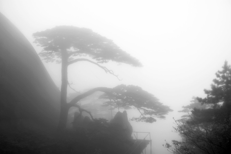 ��ɽ�������Ƭ 202_����.jpg