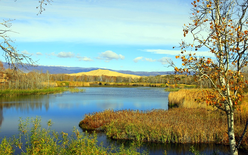 ���� ��ɳ��.jpg