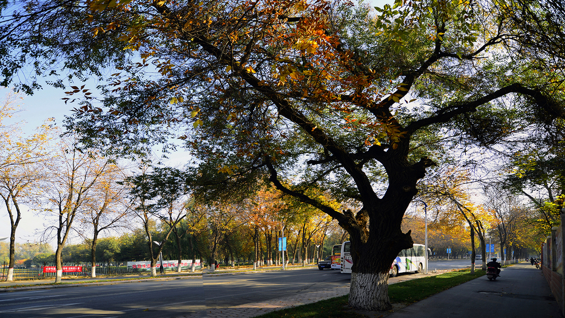 ʯ�����й���(����)��ɫ (4).JPG